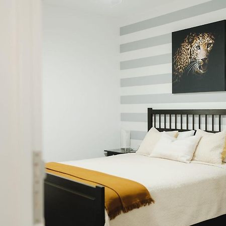 Apartamento De La Candelaria II サンタクルスデテネリフェ エクステリア 写真