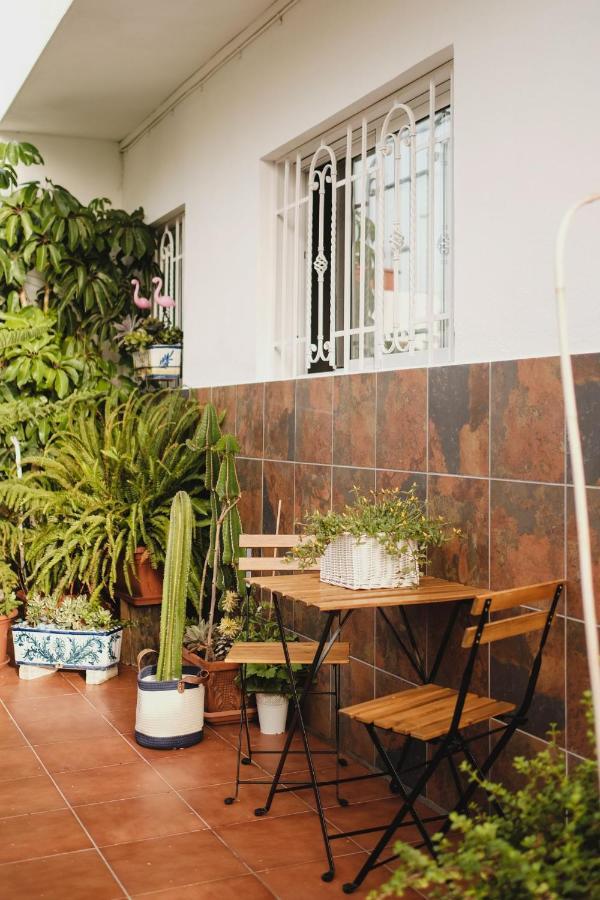 Apartamento De La Candelaria II サンタクルスデテネリフェ エクステリア 写真